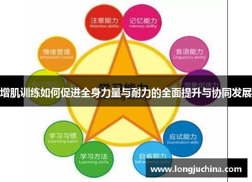 增肌训练如何促进全身力量与耐力的全面提升与协同发展