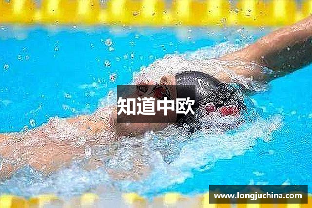知道中欧